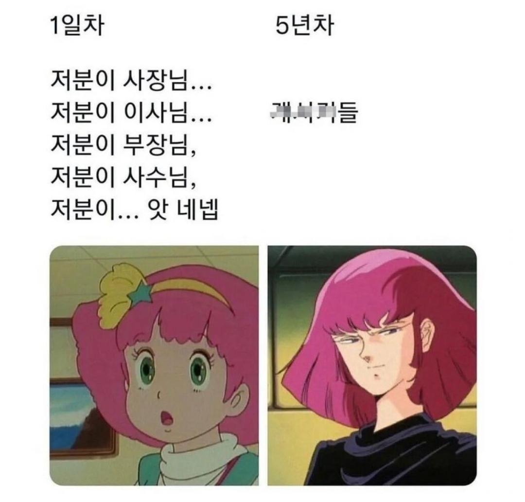 1000033842.jpg