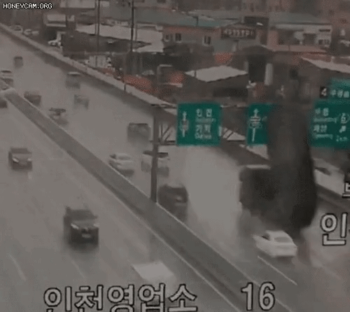 1000033855.gif