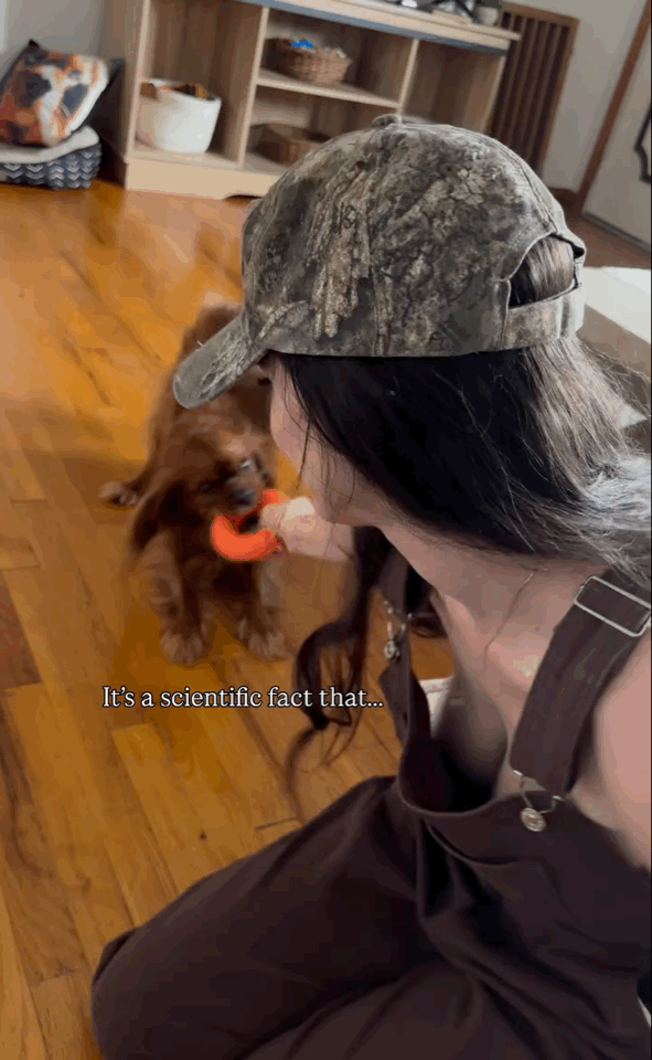IMB_0mzGRH.gif