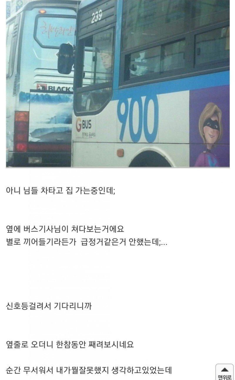 8123.jpg